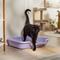 Show in main carousel: KittyGoHere Senior Cat Litter Box, Lavender, Large slide 1 of 3