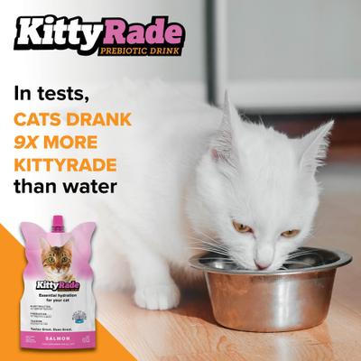 Show full view: KittyRade Prebiotic Drink Salmon Flavored Liquid Digestive Supplement for Cats, 250-mL pouch, case of 3 slide 6 of 8