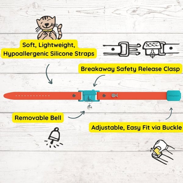 Kittyrama Kitten Breakaway Adjustable with Bell Cat Collar