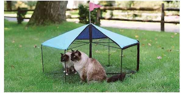 Playpen Kittywalk Teepee Out Of Stock KITTYWALK Carousel Outdoor