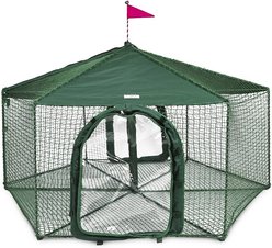 Kittywalk - Free shipping | Chewy