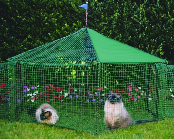 Kittywalk Gazebo Yard & Garden Outdoor Cat Playpen