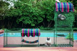 Kittywalk Town & Country Collection Outdoor Cat Playpen slide 2 of 3