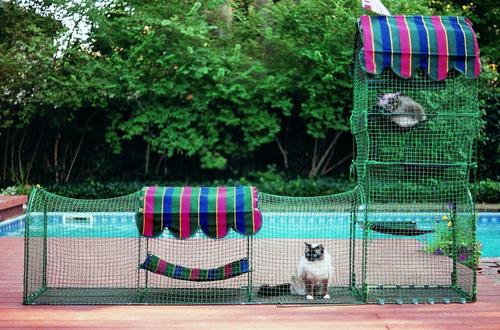 Show full view: Kittywalk Town & Country Collection Outdoor Cat Playpen slide 2 of 4