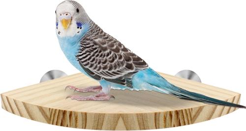 Show full view: KNUTI Bird Cage Corner Perch Platform, Wood, Medium slide 1 of 6