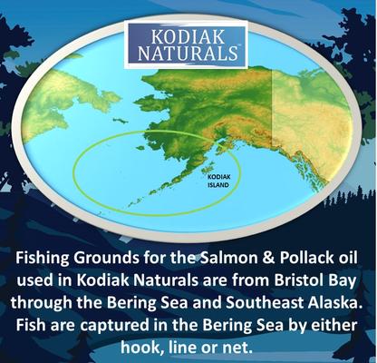 Show full view: Kodiak Naturals Salmon Oil Dog & Cat Supplement, 18-fl oz bottle slide 5 of 8