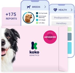 Koko Genetics Advanced PLUS Dog DNA Test