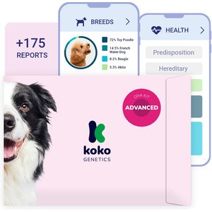 Koko Genetics Advanced PLUS Dog DNA Test