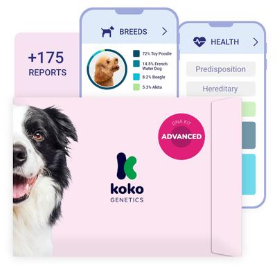 Show full view: Koko Genetics Advanced PLUS Dog DNA Test slide 1 of 10