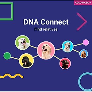 Koko Genetics Advanced PLUS Dog DNA Test