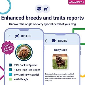 Koko Genetics Advanced PLUS Dog DNA Test