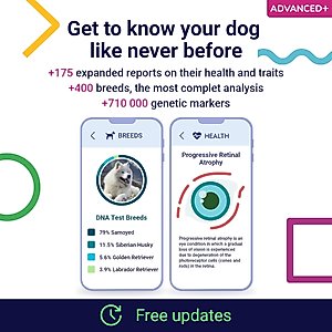 Koko Genetics Advanced PLUS Dog DNA Test