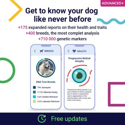 Show full view: Koko Genetics Advanced PLUS Dog DNA Test slide 3 of 10