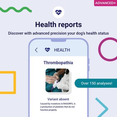 Show full view: Koko Genetics Advanced PLUS Dog DNA Test slide 4 of 10