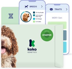 Koko Genetics Starter PLUS Dog DNA Test