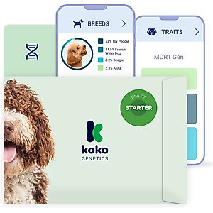 Koko Genetics Starter PLUS Dog DNA Test