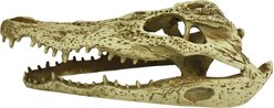 Komodo Alligator Skull Aquarium Ornament, 9-in slide 2 of 5