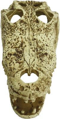 Show full view: Komodo Alligator Skull Aquarium Ornament, 9-in slide 3 of 6