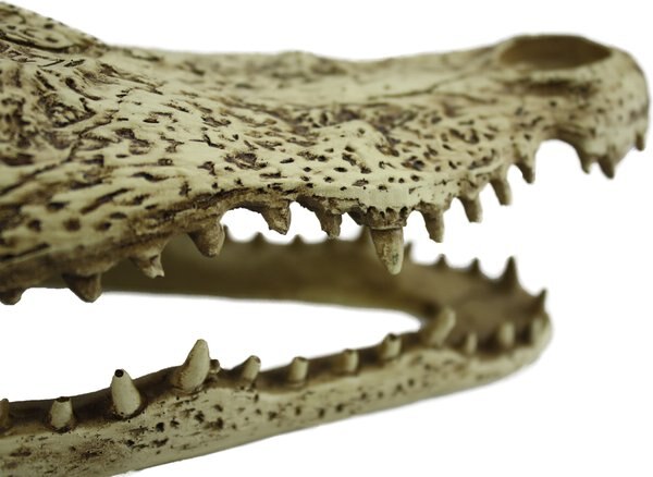 Komodo Alligator Skull Aquarium Ornament, 9-in