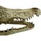 Show in main carousel: Komodo Alligator Skull Aquarium Ornament, 9-in slide 4 of 6
