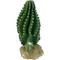 Show in main carousel: Komodo Cactus Columnar Reptile Ornament, Green slide 4 of 5