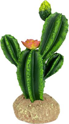 Show full view: Komodo Cactus Flower Reptile Ornament, Green slide 2 of 8