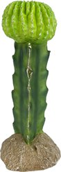 Komodo Cactus Moon Reptile Ornament, Green