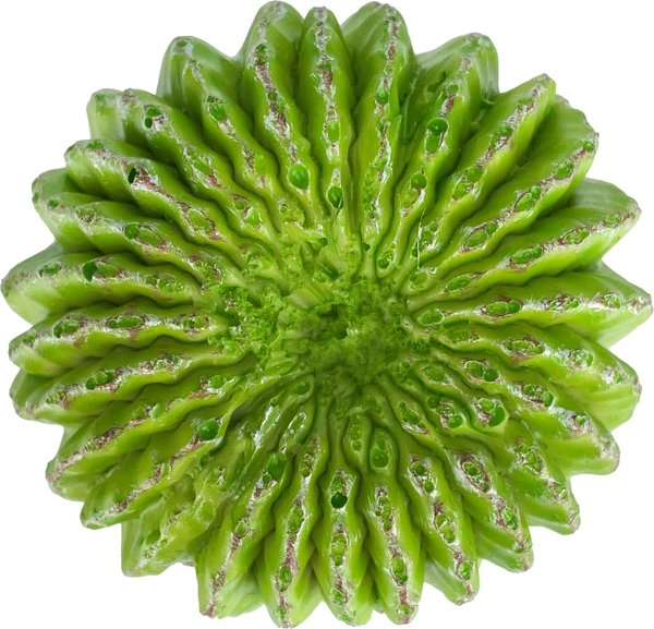 Show full view: Komodo Cactus Moon Reptile Ornament, Green slide 5 of 5