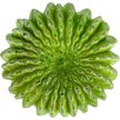 Show in main carousel: Komodo Cactus Moon Reptile Ornament, Green slide 5 of 5