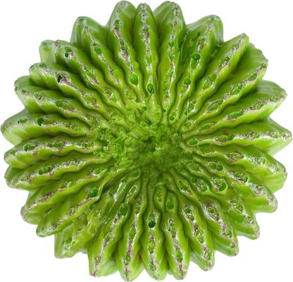 Show full view: Komodo Cactus Moon Reptile Ornament, Green slide 5 of 5