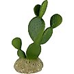 Show in main carousel: Komodo Cactus Prickly Pear Reptile Ornament, Green slide 2 of 4