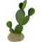 Show in main carousel: Komodo Cactus Prickly Pear Reptile Ornament, Green slide 2 of 4