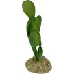 Show in main carousel: Komodo Cactus Prickly Pear Reptile Ornament, Green slide 4 of 4