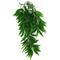 Show in main carousel: Komodo Climbing Bamboo Aquarium Plant, Large slide 1 of 5