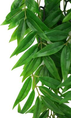 Show full view: Komodo Climbing Bamboo Aquarium Plant, Large slide 3 of 5