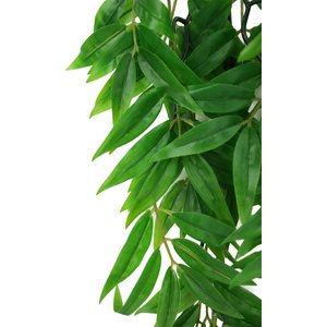 Komodo Climbing Bamboo Aquarium Plant, Medium