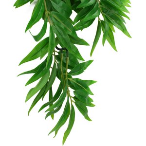 Komodo Climbing Bamboo Aquarium Plant, Medium