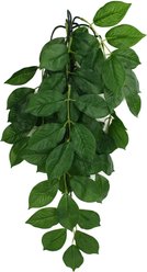 Komodo Climbing Green Leaf Aquarium Plant, Large