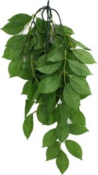 Komodo Climbing Green Leaf Aquarium Plant, Large slide 2 of 4