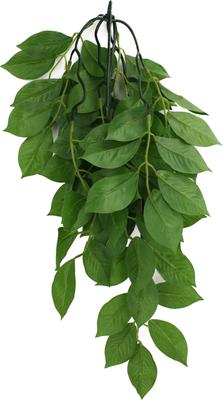 Show full view: Komodo Climbing Green Leaf Aquarium Plant, Medium slide 2 of 4