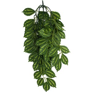 Komodo Climbing Two Tone Aquarium Plant, Large