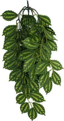 Show full view: Komodo Climbing Two Tone Aquarium Plant, Large slide 2 of 5