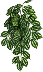 Komodo Climbing Two Tone Aquarium Plant, Medium