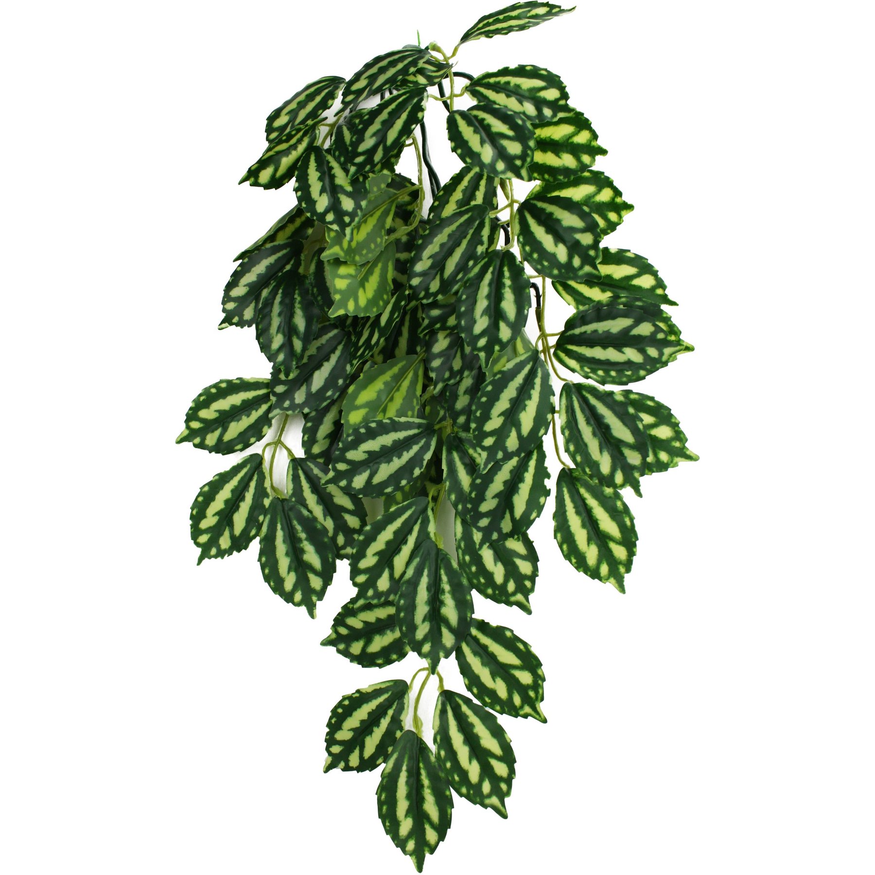Komodo Climbing Two Tone Aquarium Plant, Medium