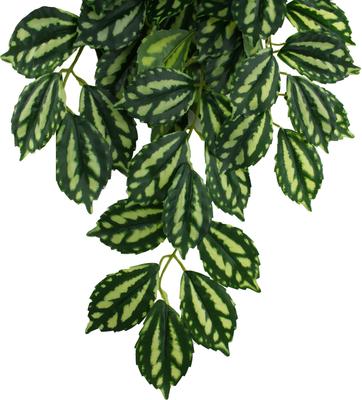 Show full view: Komodo Climbing Two Tone Aquarium Plant, Medium slide 4 of 5