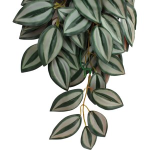 Komodo Climbing Zebrina Aquarium Plant, Large
