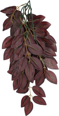 Show full view: Komodo Climbing Zebrina Aquarium Plant, Medium slide 2 of 6