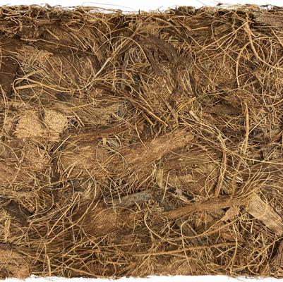 Show full view: Komodo Coir Chip Brick Single Reptile Bedding, Brown, 20-gal slide 4 of 6