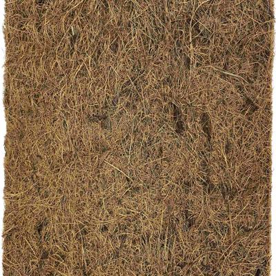 Show full view: Komodo Coir Fiber Pad Reptile Terranium Bedding, Brown, 40-gal slide 5 of 5
