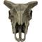 Show in main carousel: Komodo Deer Skull, Medium slide 2 of 3